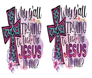 Test the Jesus in Me #2