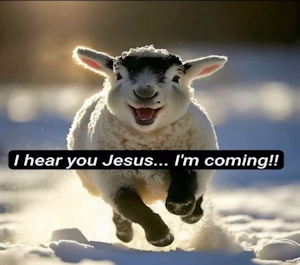 Jesus I'm Coming!